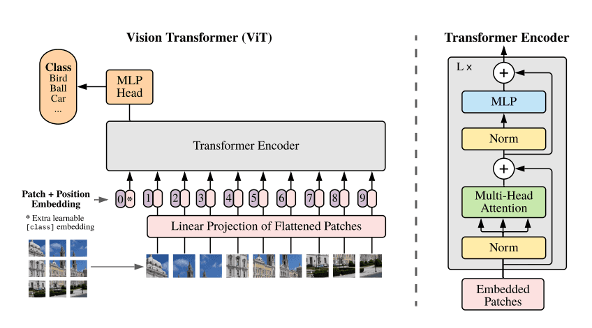 Cover Image for [논문리뷰] Vision Transformer(ViT)