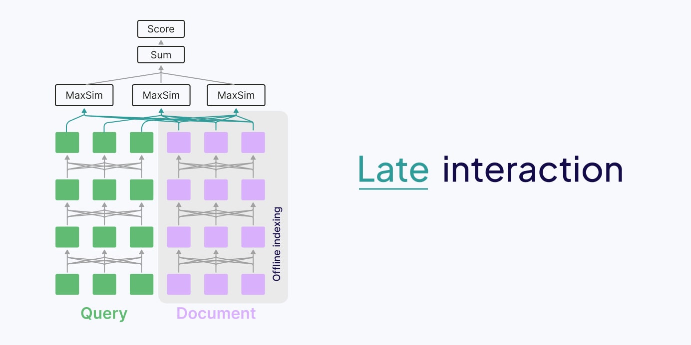 Late Interaction: 독립 인코딩 후 토큰 수준의 MaxSim으로 매칭한다