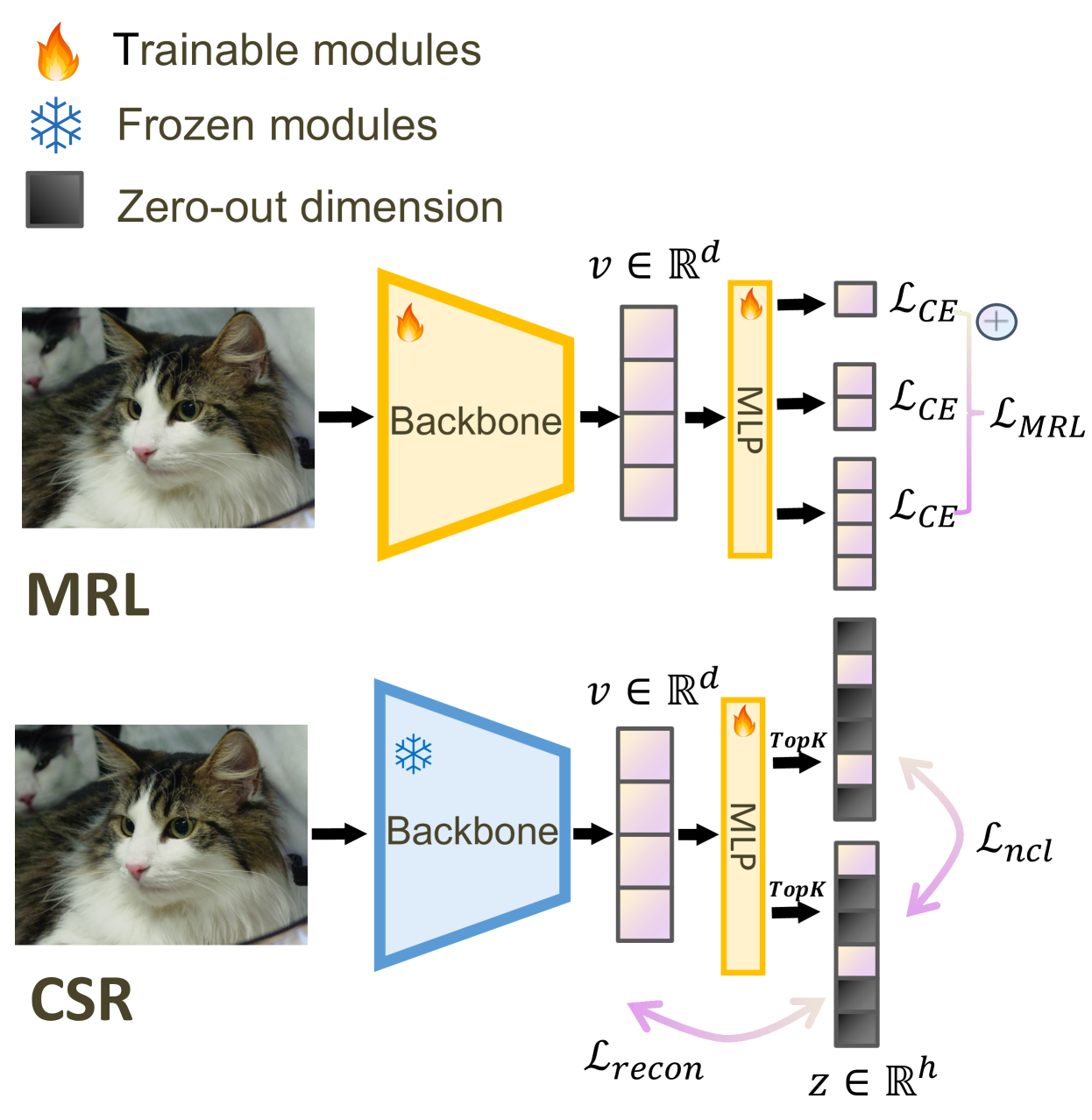 CSR 아키텍처: 사전학습 임베딩을 희소 고차원 공간으로 매핑하는 프레임워크
